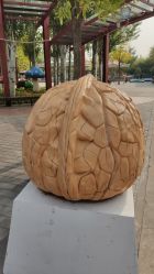 -大望京儿童游乐场