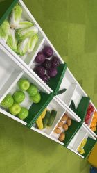 -莫莉幻想儿童乐园(武汉保利广场店)