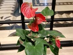 -城南往事·鲁菜济南菜(长清园博园恒大绿洲店)