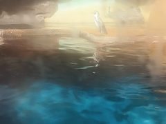 -海合安武汉极地海洋公园
