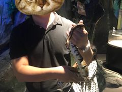-萌宠奇缘