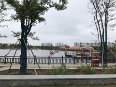 -上海长兴岛郊野公园