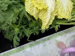 -牛叔鲜羊肉铜火锅(远东小区店)