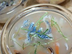 -荔城生鲜盛宴(番禺旗舰店)