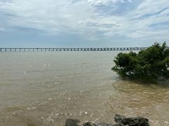 -宝安西湾红树林湿地公园