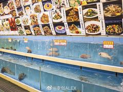 -御唐府海珊瑚主题餐厅