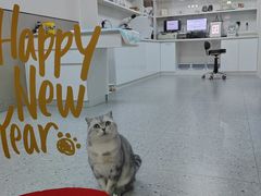 -嘉美宠物医院