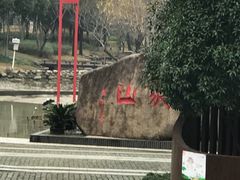 -陈家山荷花公园
