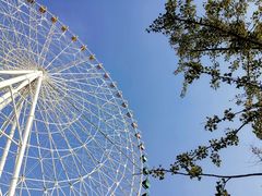 -凤凰欢乐大世界