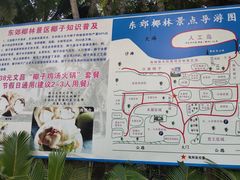 -东郊椰林