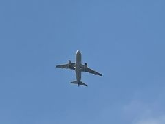 -空港花田景区