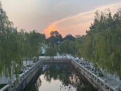 -厦门园林博览苑