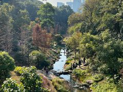 -云溪植物园