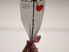 -循礼门鲜花花市(武汉循礼门店)