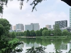 -大兴滨河森林公园