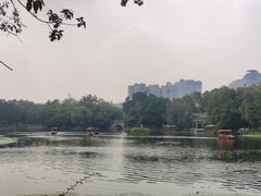 -荔湾湖公园