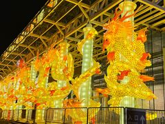 -武汉园博园(武汉自然博物馆)