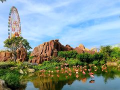 -芽庄珍珠岛游乐园