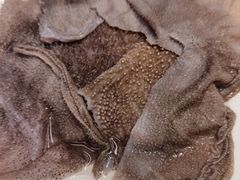 -园里火锅(仁和新城店)