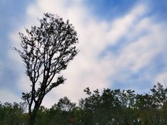 -牛岗山公园