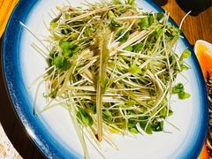 燕青荞麦菜-兴农记