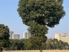 -山明水秀大饭店