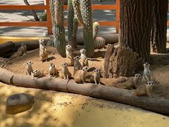 -北京野生动物园