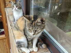 -聚农庄民宿农家院(梨木台东山店)