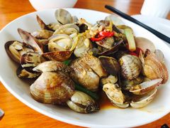 炒花蛤-南蚝小贝海鲜特色餐厅(南澳岛店)