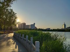 -莲花池公园