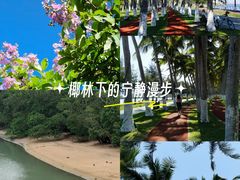 -万绿园