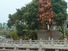 -黄埔古港