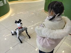 -龙塔