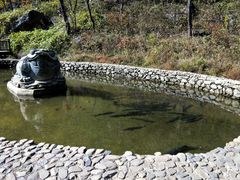-大连天门山国家森林公园