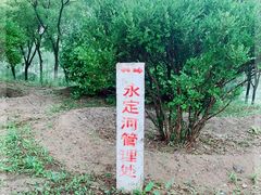 -永定河休闲森林公园