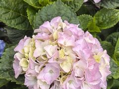 -常州古运河南大街文化旅游区-人民公园