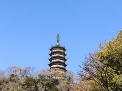 -焦山风景区