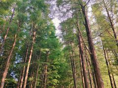 -云龙湖旅游景区