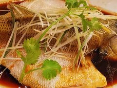 -大鸭梨烤鸭店(花园村店)