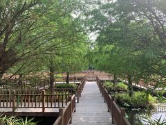 -五缘湾湿地公园