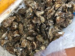 -王四营海鲜市场