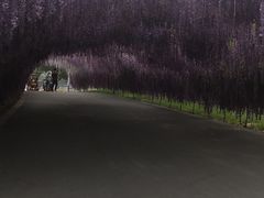 -河北省园博园