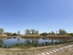 -大兴滨河森林公园