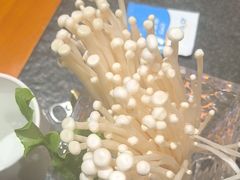 -蒙都43°9羊火锅(平庄店)