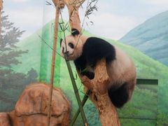 -南宁市动物园