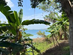 -露天矿生态公园