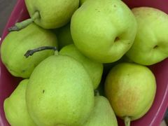 -百果园PAGODA(法华镇路店)