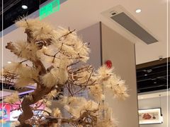 -九毛九西北菜(番禺万达店)