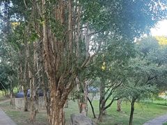 -福建鲤鱼洲酒店