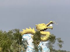 -白洋淀风景区